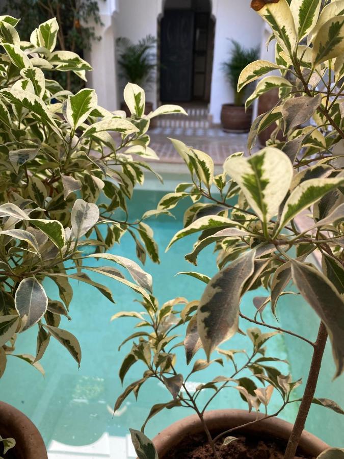Riad Magellan Yoga And Spa Marrakesh Exterior photo