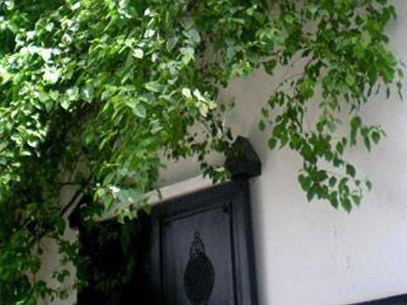 Riad Magellan Yoga And Spa Marrakesh Exterior photo